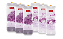 miele_ReinigungsprodukteWaschmittelUltraPhaseSet-6-UltraPhase-FloralBoost_12282430